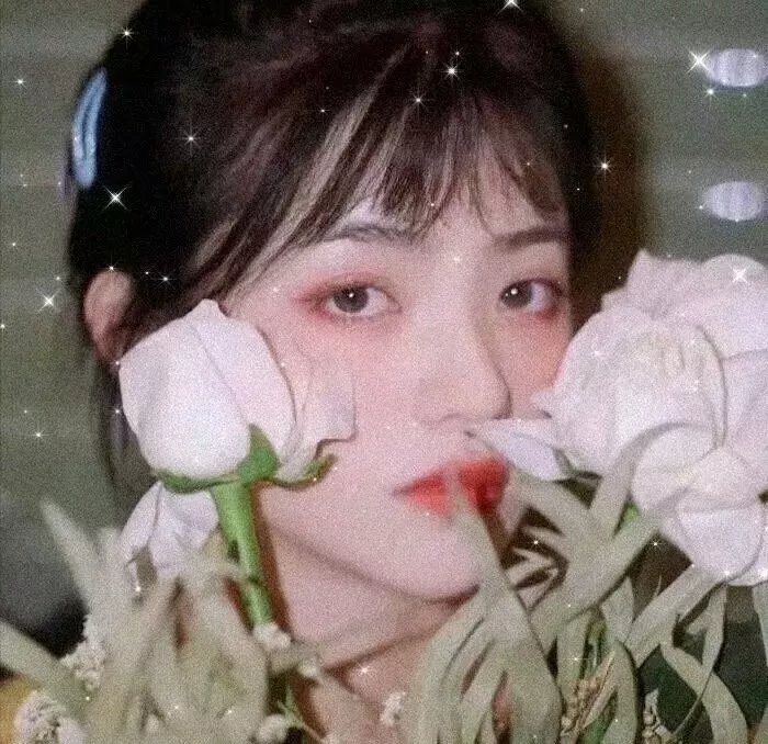 中国大案录
